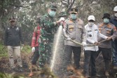 Kapolda Riau dan Pangdam Tuanku Tambusai Patroli Udara Karhutla, Turun Langsung Padamkan Api di Pelalawan