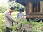 Bhabinkamtibmas Polsek Rangsang Barat Tinjau Tanaman P2B Warga