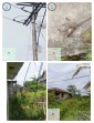 Penyebab Kendala Mati Lampu Kembali, Berakibat Dua Buah Tiang PLN Tumbang Dan Binatang Nyentuh Jaringan