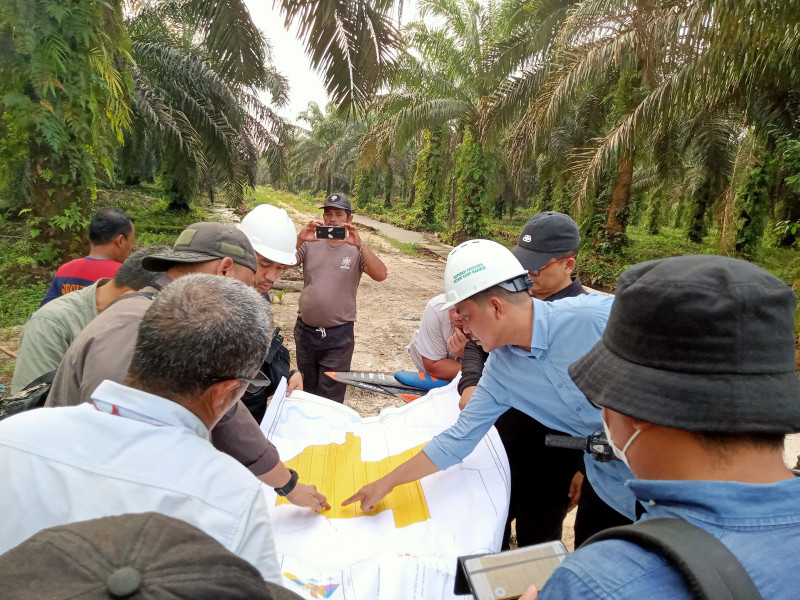 Petani Harus Tahu Putusan RSPO Tentang PTPN IV, Point Kedua Bikin Merinding