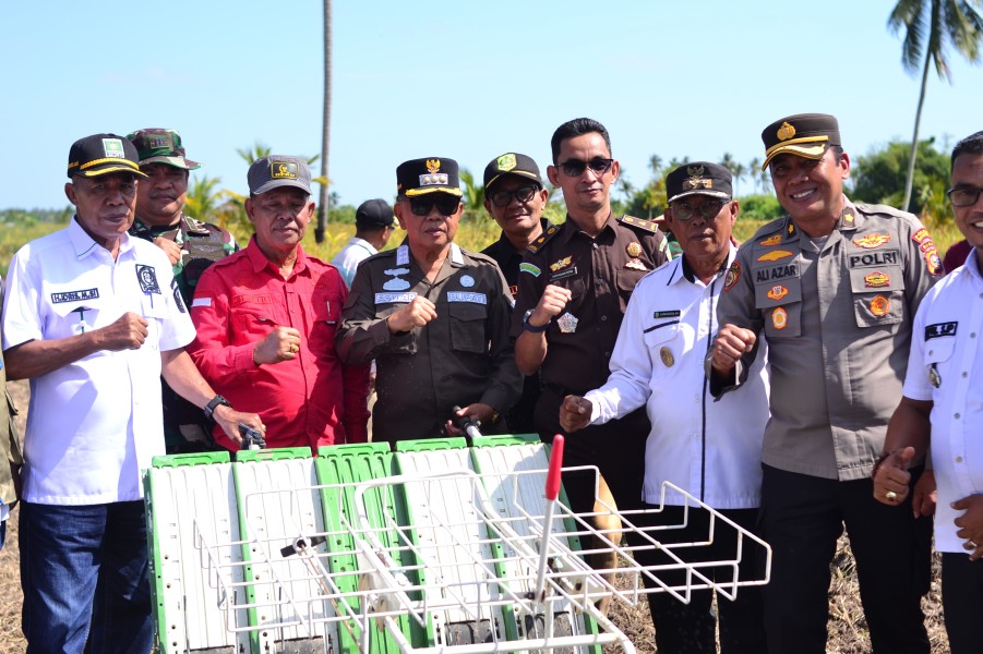 Bupati Asmar Panen Raya di Mekar baru ,  Targetkan 3 Tahun Panen dengan Swasembada 19 Ribu Ton