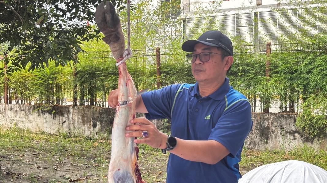 PWI Riau Sembelih 6 Sapi dan 1 Kambing pada Iduladha 1447 H