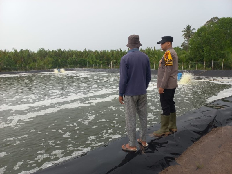 Dukung Ketahanan Pangan Nasional, Polsek Tebing Tinggi Barat Bina Tambak Udang Produktif di Pulau Merbau