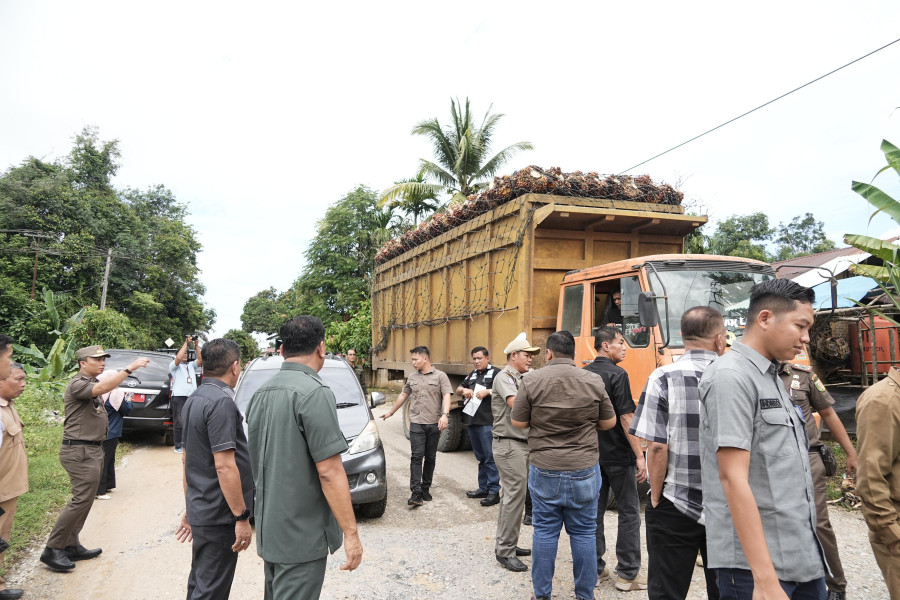 Jejak Sawit Ilegal,  Sidak Bupati Kuansing Ungkap Praktik di PT GSL