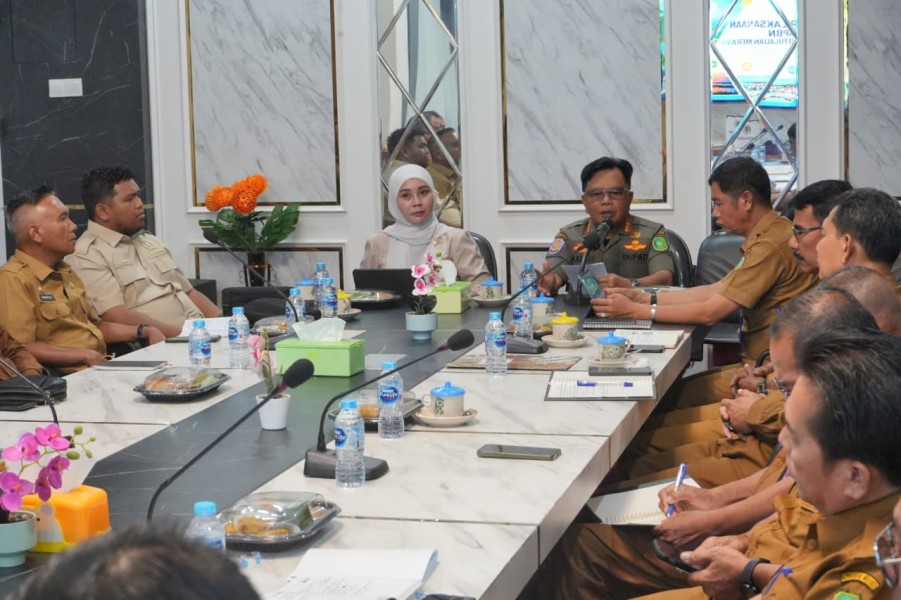 Pemkab Minta DPD RI Perjuangkan Dukungan Pusat untuk Meranti