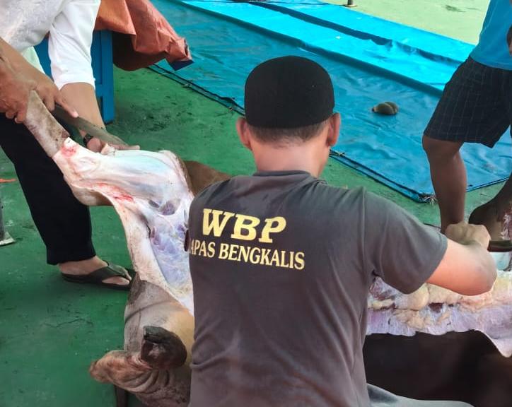 Selesai Shalat Idul Adha 1447 H/2026 M, Lapas Bengkalis Sembelih 2 Ekor Sapi dan 1 Ekor Kambing