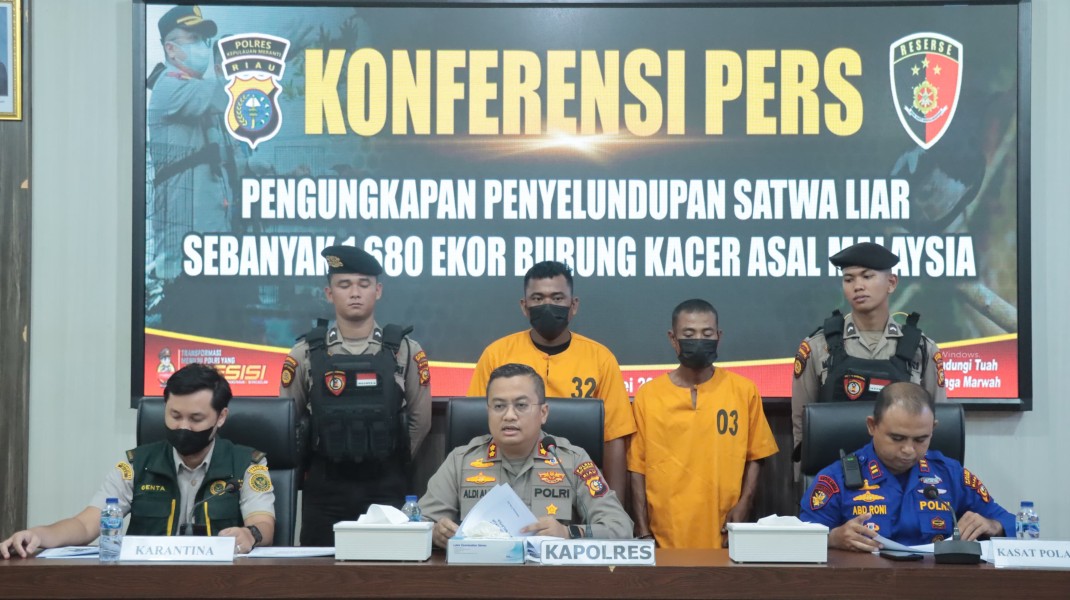 Polres Kep Meranti Berhasil Ungkap Kasus Penyeludupan Ribuan Burung Kacer