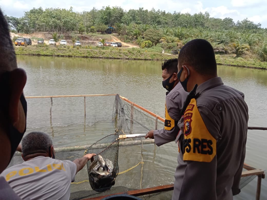 Terinspirasi Program Jaga Kampung, Alreflus dari Polres Kampar Kembangkan Ternak Ikan