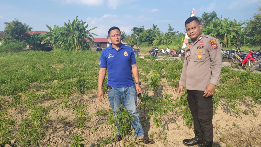 POLSEK TEBING TINGGI BARAT LAKUKAN PEMBINAAN PETANI DESA PADANG KAMAL.