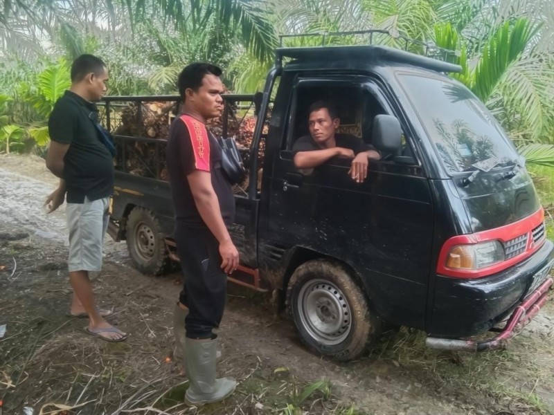 Polda Riau Terima Laporan Polisi Atas Dugaan Tindak Pidana Penggelapan Hasil Panen Kebun Kelapa Sawit Rp.650 juta, Dominggus Tmeuban Alias Deni Terancam 4 Tahun Penjara