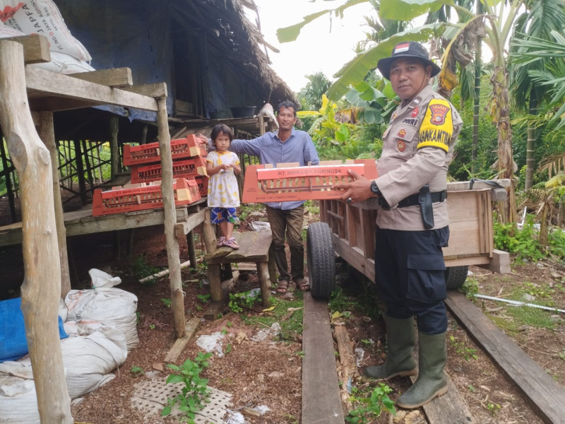 Dukung Program Ketahanan Pangan, Polsek Rangsang Laksanakan Penebaran Bibit Ayam