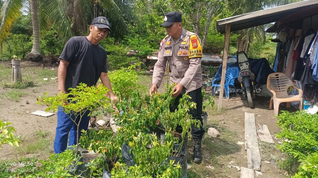 Dukung Ketahanan Pangan, Bhabinkamtibmas Polsek Rangsang Barat Tinjau Perkebunan Cabai Warga