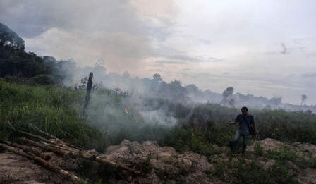 Dua Titik Api Terdeteksi di Riau