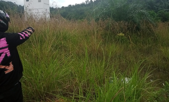 Aset Pabrik Gambir Hibah Pemerintah Pusat di Desa Tanjung Terus Dipertanyakan