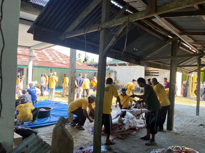 Warga Desa Pangkalan Baru Laksanakan Pemotongan Hewan Kurban, Idul Adha 1446 H