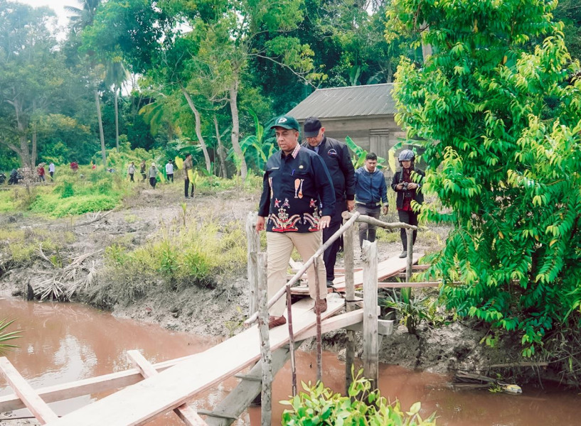 Pjs Bupati Roni Rakhmat Tinjau Pertanian, Pembangunan Jalan dan Jembatan, Hingga Tambak Udang di Pulau Merbau