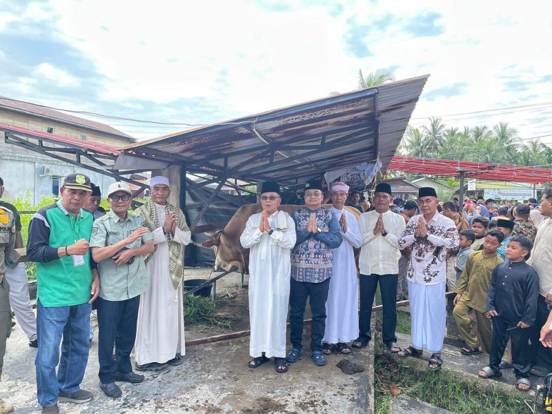 Presiden Salurkan Sapi Kurban 903 Kg ke Meranti, Bupati Asmar Serahkan Langsung ke Masjid Ar-Rahmah