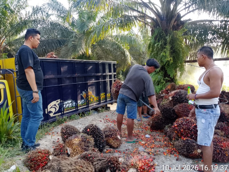 Elang 3 Hambalang Minta Ditreskrimsus Polda Riau Tangkap Hamzah dan Tumpas Mafia Peron Sawit di Kampar