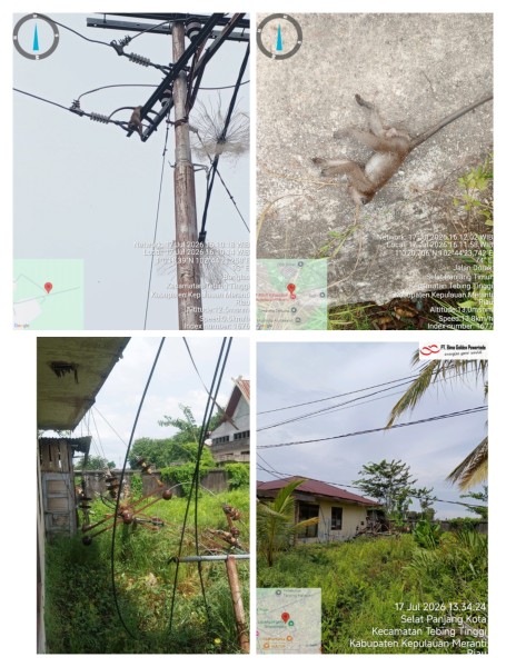 Penyebab Kendala Mati Lampu Kembali, Berakibat Dua Buah Tiang PLN Tumbang Dan Binatang Nyentuh Jaringan