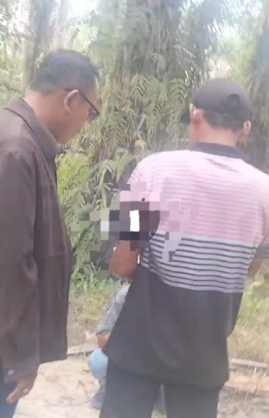 Mafia Kawasan Hutan Kota Garo Terancam Hukuman Berat, Hotman Silalahi dan Imayadi Bisa Dipenjara 15 Tahun