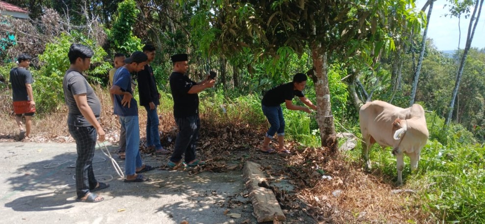 HMI dan KAHMI Kampar Laksanakan Pemotongan Hewan Kurban di Graha Insan Cita