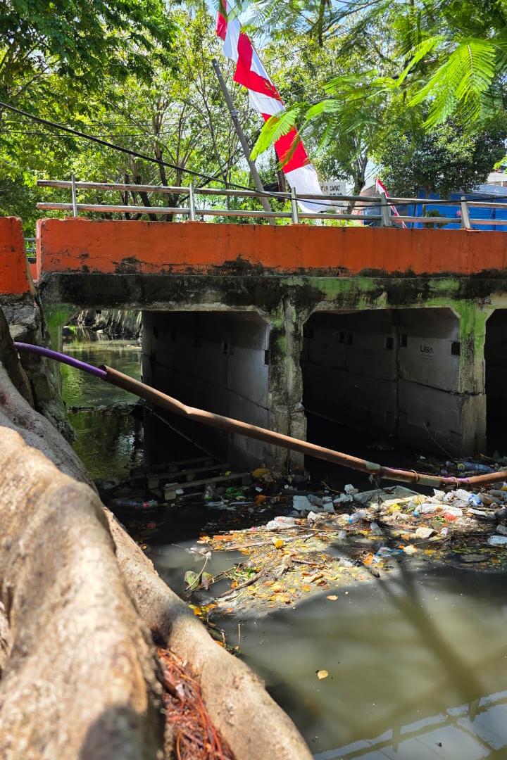Dampak Lingkungan Kotor pada Sungai Bagi Aspek Lingkungan, Kesehatan, Pendidikan, dan Ekonomi