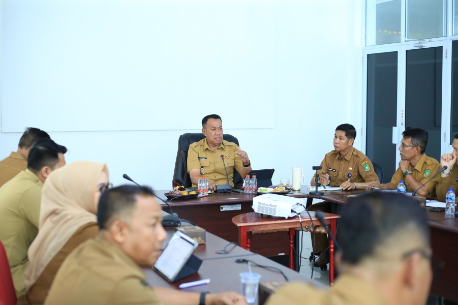 Cegah Karhutla di Lahan Gambut, Wabup Meranti Perintahkan Konsolidasi Berjenjang hingga Desa