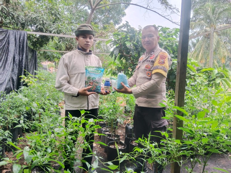 Dukung Ketahanan Pangan, Polsek Rangsang Barat Salurkan Pupuk kepada Petani Cabe