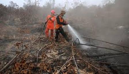Kepolisian Resor Indragiri Hulu melimpahkan berkas penyidikan PT Alam Sari Lestari Ke Polda Riau