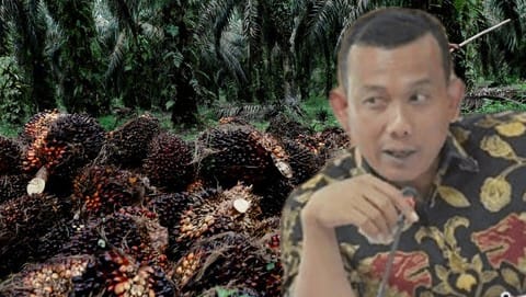 Kasir, Anggota DPRD Riau, Diduga Kuasai Ratusan Hektare Hutan Lindung di Kuansing