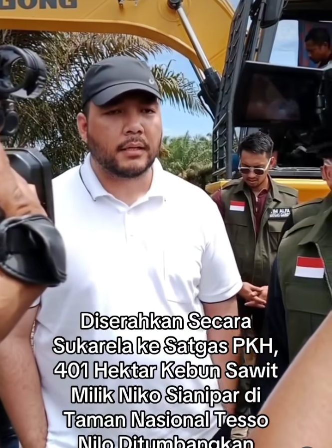 Pemilik Sawit Serahkan Sukarela 401 Hektar di Tesso Nilo, Satgas PKH Mulai Pulihkan Hutan