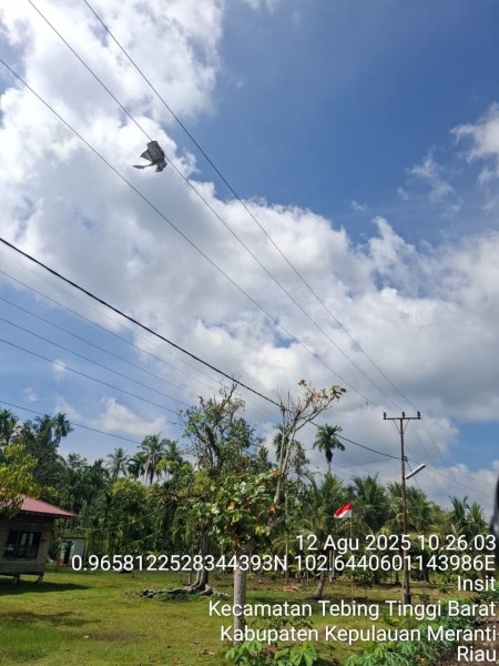 Akibat Layang Besar PLN Mati Mendadak Masyarakat Bertanya Namun Hidup Kembali